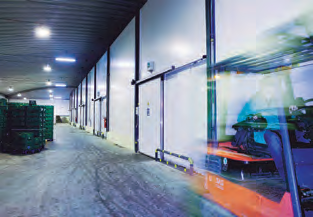 Aplicação em Frutas e Vegetais